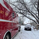 Tree Maintenance - City Owned at 930 Royal Av SW