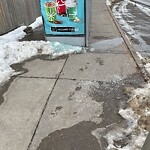 Bus Stop - Shelter Concern at 1636 Crescent Rd NW