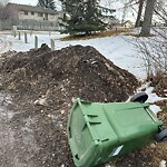 Debris on Backlane at 222 Ranchlands Co NW