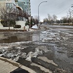 Catch Basin / Storm Drain Concerns at 1432 11 Ave SW