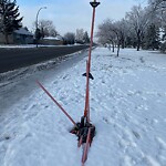 Sign on Street, Lane, Sidewalk - Repair or Replace at 1502 51 St SE