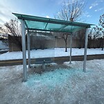 Bus Stop - Shelter Concern at 258 New Brighton Me SE