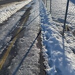 Debris on Street, Sidewalk, Boulevard at 2456 96 Av SE