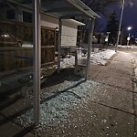 Bus Stop - Shelter Concern at 2048 38 Av SW