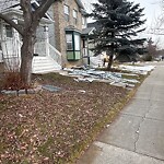 Debris on Street, Sidewalk, Boulevard at 485 Country Hills Dr NW