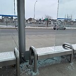 Bus Stop - Shelter Concern at 14943 52 St SE