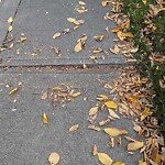 Sidewalk or Curb - Repair at 8511 Athabasca St SE