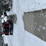 Debris on Street, Sidewalk, Boulevard at 1404 Springfield Pl SW Southwest Calgary