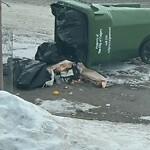 Debris on Street, Sidewalk, Boulevard at 644 Savanna Bv NE