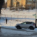 Coyote Sightings and Concerns at 502 Scarboro Av SW