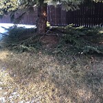 Shrubs, Flowers, Leaves Maintenance in a Park at 624 Fonda Co SE