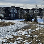 Snow On City Road at 194 Arbour Lake Hl NW