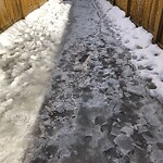 Snow On City - Maintained Sidewalk at 111 Cranarch Ci SE