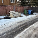 Debris on Backlane at 156 Templegreen Dr NE