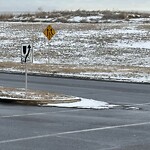 Sign on Street, Lane, Sidewalk - Repair or Replace at 9901 Blackfoot Tr SE