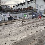 Debris on Street, Sidewalk, Boulevard at 1828 28 Av SW