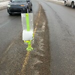 Sign on Street, Lane, Sidewalk - Repair or Replace at 604 Queensland Dr SE