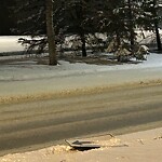 Sign on Street, Lane, Sidewalk - Repair or Replace at 239 Country Village Wy NE