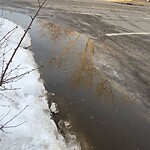 Catch Basin / Storm Drain Concerns at 227 15 St NW