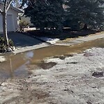 Catch Basin / Storm Drain Concerns at 2904 Park Ln SW Elbow Park