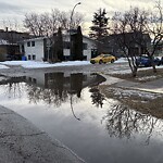 Catch Basin / Storm Drain Concerns at 205 12 St NW Northwest Calgary