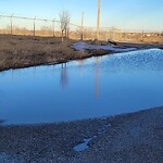 Catch Basin / Storm Drain Concerns at 5460 64 Ave SE Alyth/Bonnybrook/Manchester