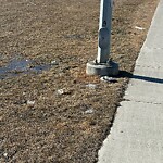 Debris on Street, Sidewalk, Boulevard at 211 Panatella Sq NW