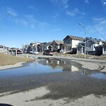 Catch Basin / Storm Drain Concerns at 8 Martin Crossing Ba NE