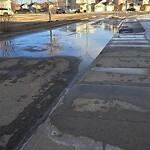 Catch Basin / Storm Drain Concerns at 162 Bridleridge Wy SW