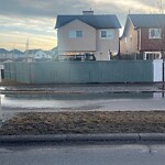 Catch Basin / Storm Drain Concerns at 68 Saddlecrest Bv NE