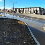 Catch Basin / Storm Drain Concerns at 1632 Cornerstone Bv NE