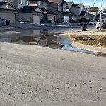 Catch Basin / Storm Drain Concerns at 35 Saddleland Dr NE