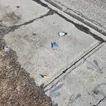 Bus Stop - Shelter Concern at 1523 65 St SE