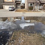 Catch Basin / Storm Drain Concerns at 130 Wentworth Mr SW