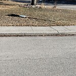Road Signs on Street, Lane, Sidewalk - Repair or Replace at 2803 1 Av NW