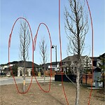 Tree Maintenance - City Owned at 6 Legacy Woods Cr SE