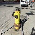Fire Hydrant Concerns at 444 7 Av SW