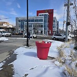 Streetlight Damage at 3515 17 Av SW