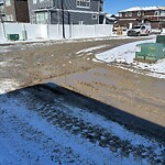 Backlane Maintenance at 108 Wolf Hollow Pa SE
