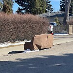Debris on Street, Sidewalk, Boulevard at 60 Hillary Cr SW