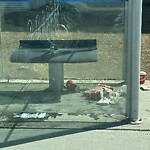 Bus Stop - Garbage Bin Concern at 918 Cornerstone St NE