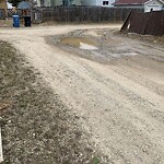 Backlane Maintenance at 67 Falworth Co NE