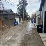 Backlane Maintenance at 536 48 Av SW