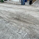 Backlane Maintenance at 2423 29 St Sw, Calgary, Ab T3 E2 K3