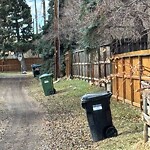 Coyote Sightings and Concerns at 1303 Killearn Av SW
