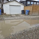 Backlane Maintenance at 214 17 Av NE