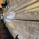 Backlane Maintenance at 8227 4a St SW Southwest Calgary