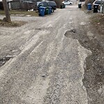 Backlane Maintenance at 3609 14 St NW