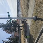 Debris on Street, Sidewalk, Boulevard at 2225 24 Ave NE Vista Heights