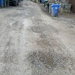 Backlane Maintenance at 152 Martindale Dr NE